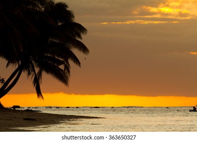 Palm Tree Silhoutte On Beach During Sunset