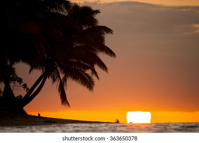 Palm Tree Silhoutte On Beach During Sunset