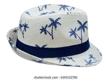 Palm Tree Straw Fedora Hat Isolated Stock Photo 1459152785 | Shutterstock