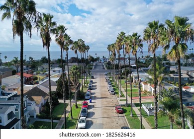 Palm Tree Street in San Diego