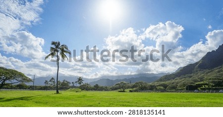 Palm tree sun, mountains, and clouds from  Kualoa Ranch, Kaneohe, Hawaii