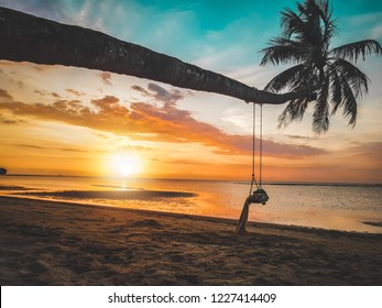 Palm tree sunset