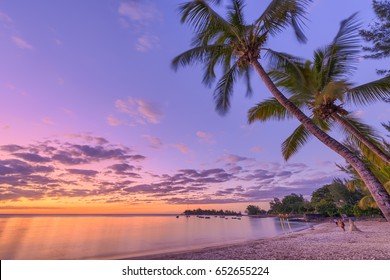 Palm Tree Sunset At Pereybere Bay - Mauritius Beach