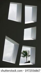 palm tree through the window