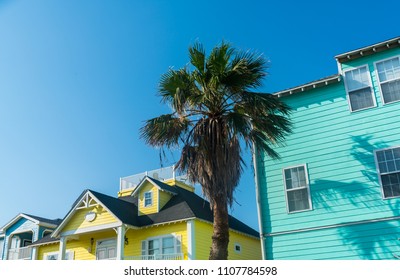 Palm Tree With Yellow And Blue Home Port Aransas ,Texas Padre Island Coastal Homes Along Gulf Of Mexico Island Living. Rental And Vacation Homes Painted Bright Colorful Colors Near Corpus Christi , TX