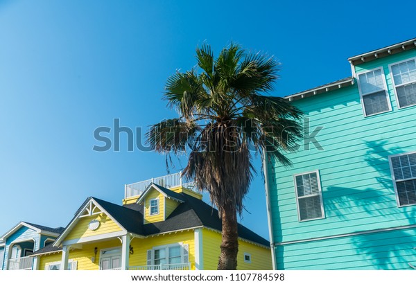 Palm Tree Yellow Blue Home Port Stock Photo Edit Now 1107784598