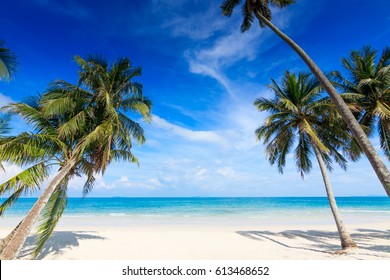 palm trees and amazing cloudy blue sky at tropical beach island in Indian Ocean. Coconut Tree with Beautiful and romantic beach in Chumphon , Thailand. Koh Tao popular tourist destination in Thailand. - Shutterstock ID 613468652