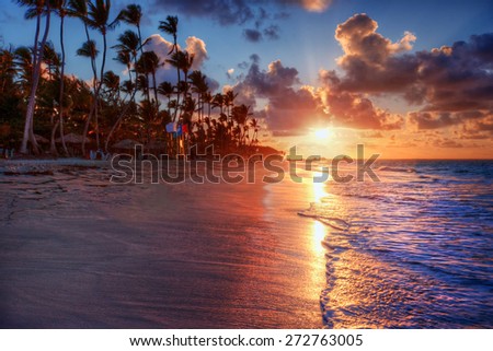 Palm trees blowing in the sea breeze at sunset on a luxurious sandy beach shore