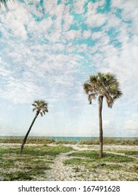 Palm Trees And Blue Skies On A Vintage-styled Textured Paper 