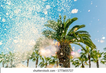 Palm trees with bubbles and defocused soap foam from pool party blower against blue sky backdrop. Summer holidays, vacation background, fun sports, family travel, tourism concept. - Powered by Shutterstock