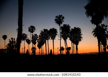 venice beach