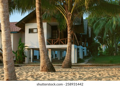 Palm trees and cottages