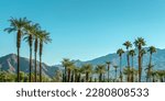 Palm trees and desert mountain panorama in Palm Springs, California