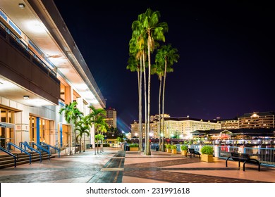 Palm Trees And The Exterior Of The Convention Center At Night In Tampa, Florida.