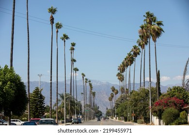 Palm trees frame a residential street in West Covina, California, USA.