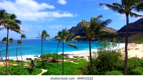 Palm Trees Framing Sandy Tropical Beach by Blue Water Bay - Oahu, Hawaii