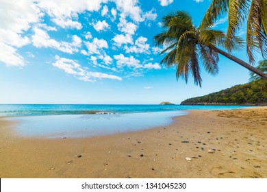 Plage De La Perle Images Stock Photos Vectors Shutterstock