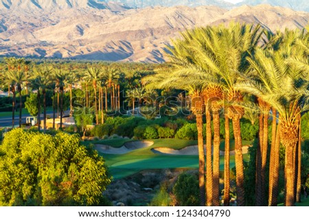 Palm trees with golf course and mountain range in the Coachella Valley