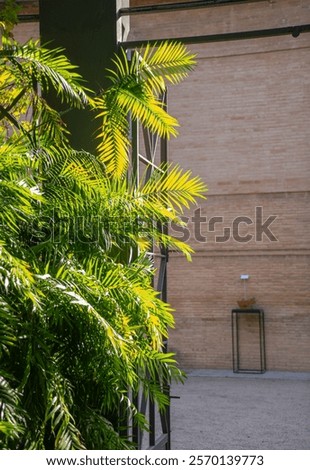 Palm trees inside the building