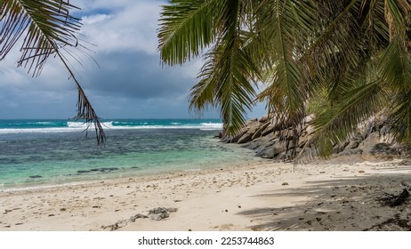 Palm trees lean over a secluded tropical beach. A shadow on the sand. Leaves against the sky and clouds. Foam of waves in the turquoise ocean. Picturesque granite rocks near the shore. Seychelles. - Powered by Shutterstock