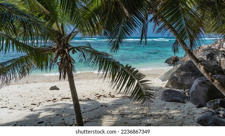 Palm trees lean over a tropical beach. Green leaves on a background of turquoise ocean and blue sky. Shadows on the sand. A pile of boulders on the shore. Seychelles. Moyenne Island. - Powered by Shutterstock