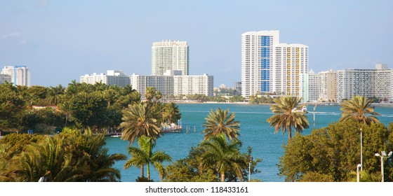 Palm Trees And The Miami Skyline Daytime