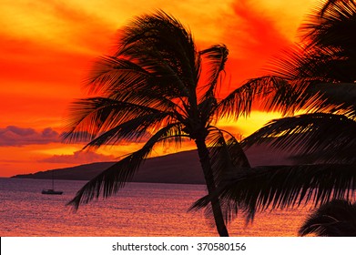 Palm trees and the ocean against a beautiful Maui sunset