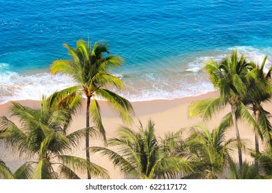 Palm trees, ocean waves and beach, Acapulco, Mexico, the Pacific Ocean
