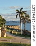 palm trees in old san juan puerto rico (near historic spanish fort ruins del morro) beautiful palms at sunset caribbean sea island destination national park colonial buildings travel destination