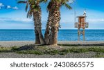 Palm trees on Almunecar beach, Granada, Andalusia, Spain