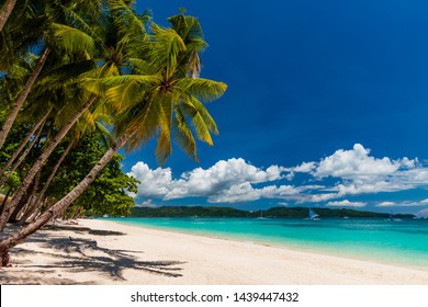 Beach Panorama Maldives Blue Sky Palm Stock Photo 219672055 | Shutterstock