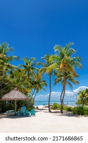 Palm trees on beautiful tropical beach in Key Largo. Florida - Shutterstock ID 2171686865