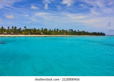 Palm trees on the caribbean tropical beach with some wooden houses in the Dominican Republic. Vacation travel background, beautiful turquoise water, waterview