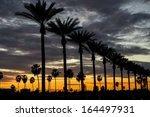 Palm trees on Gene Autry Way at dusk in the City of Anaheim, CA.
