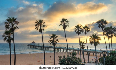 Palm Trees On Manhattan Beach At Sunset, Los Angeles, California.