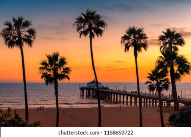 Palm trees on Manhattan Beach at sunset in California, Los Angeles, USA. Vintage processed.