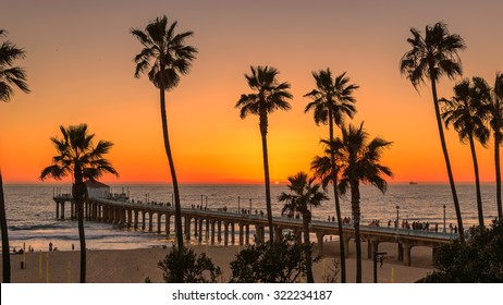 Palm trees on Manhattan Beach  at orange sunset and Pier in California, Los Angeles, USA.