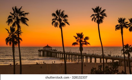 Palm Trees On Manhattan Beach At Sunset, Los Angeles