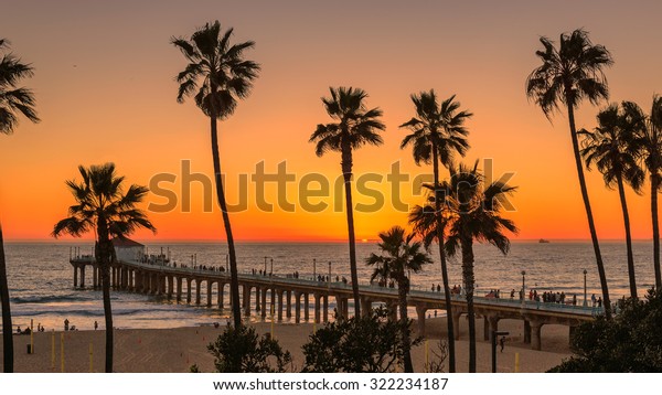 Palm Trees On Manhattan Beach Orange Stock Photo (Edit Now) 322234187