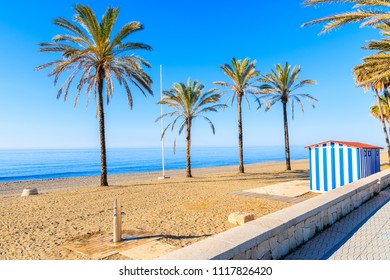 Palm trees on sandy beach in Marbella town, Costa del Sol, Spain