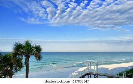 Palm Trees On Santa Rosa Beach, Florida