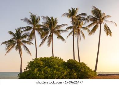 Palm trees on a small hill. It looks like a desert island in the middle of the ocean. Tropical paradise at sunset time. Dundee Beach, holiday destination near Darwin, Northern Territory NT, Australia - Powered by Shutterstock