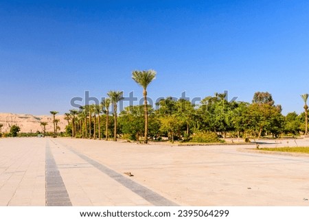 Palm trees on square near Karnak temple in Luxor, Egypt