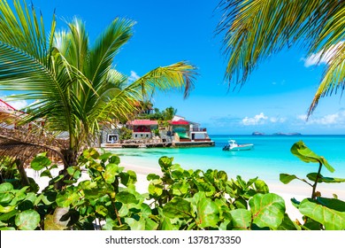 Palm Trees On Tropical Beach, St Barths, Caribbean Island.