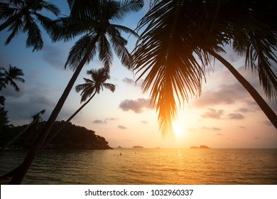 ハワイ 夕方 背景 Images Stock Photos Vectors Shutterstock