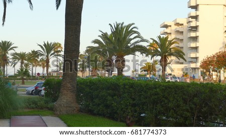 Palm trees on white sans paradise beach