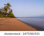 Palm trees and other tropical vegetation on a tropical beach in this long exposure photo showing a leading diagonal line and a blue sky background in Cardwell in tropical Queensland, Australia.