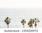 Palm trees and the Pacific Ocean in San Clemente, Orange County, California