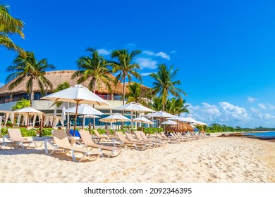 Palm Trees Parasols Umbrellas And Sun Loungers At The Reef Coco Beach Resort On Tropical Mexican Beach In Playa Del Carmen Mexico.