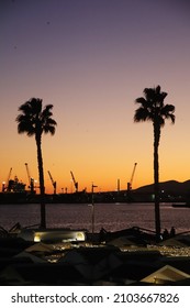 Palm Trees At The Promenade In Malaga At Sunset, Spain